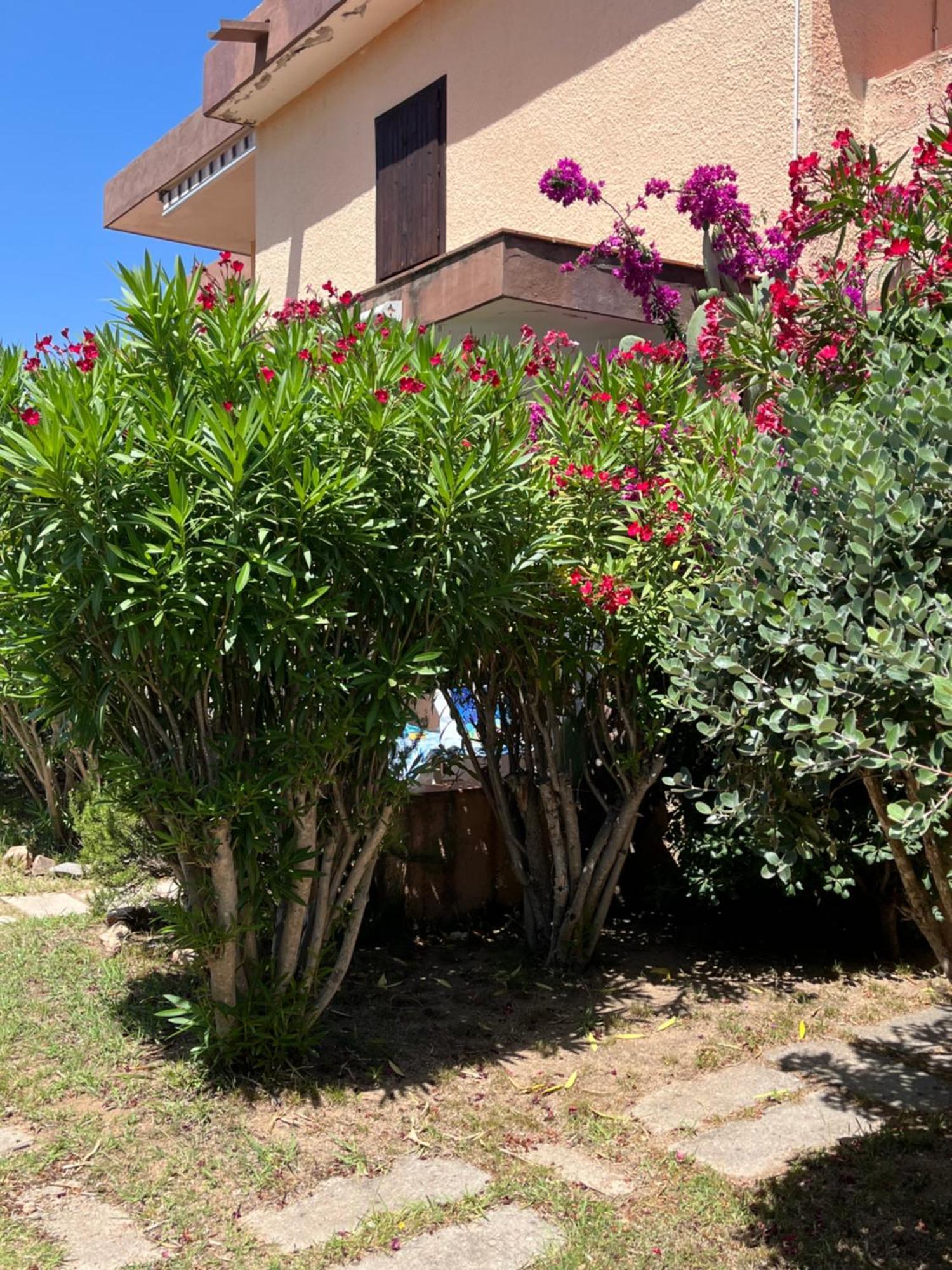 Bilocali Residenza Mediterranea Cannigione Exteriér fotografie